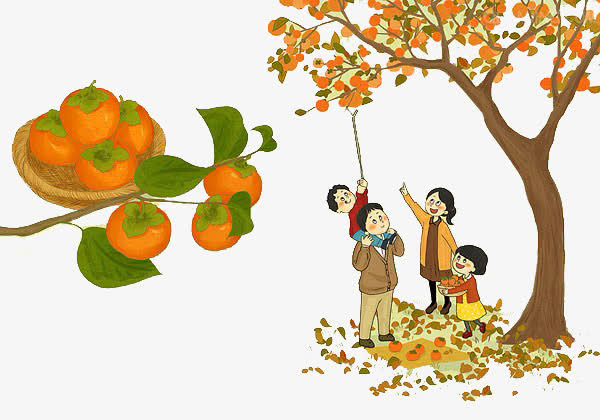 全家摘柿子免抠