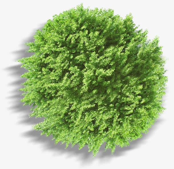 绿色圆形俯视景观大树免抠