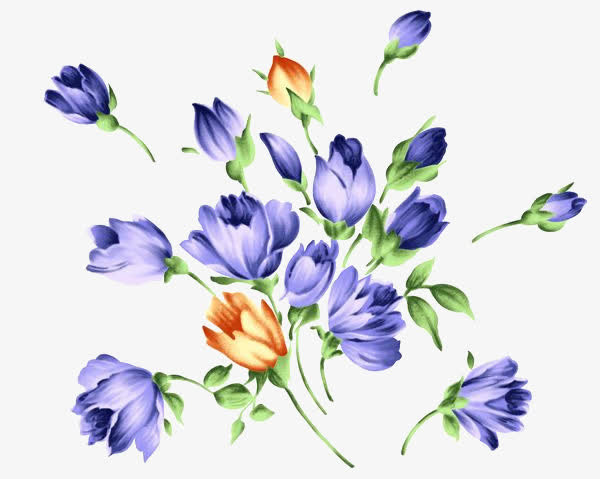 蓝色花朵免抠