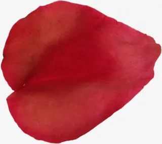 大红的花瓣免抠