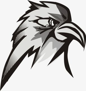 手绘黑白白头鹰头免抠