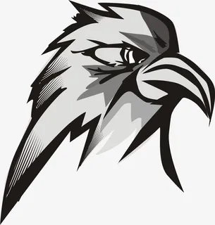 手绘黑白白头鹰头免抠