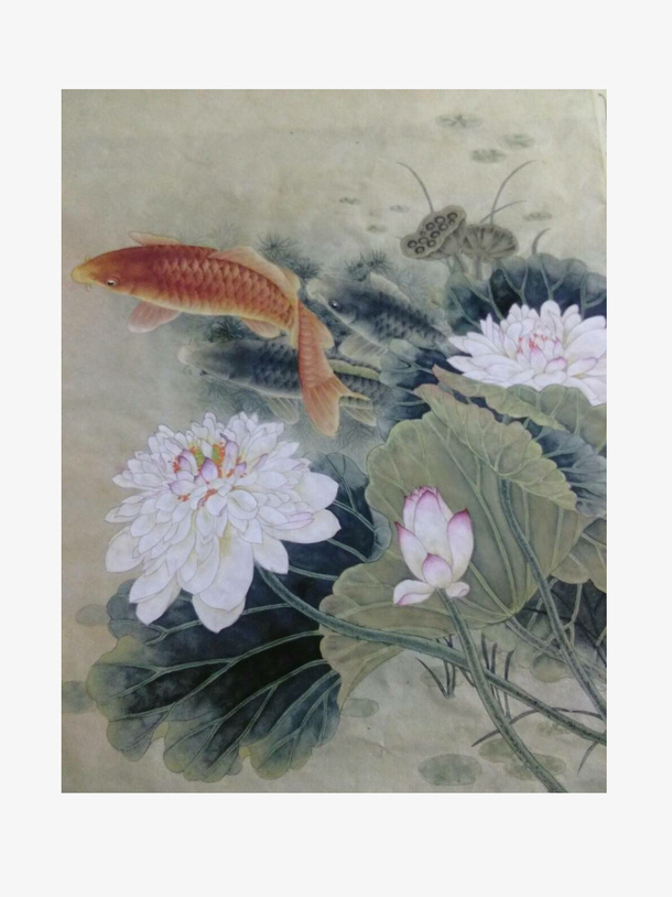 国画鱼莲花免抠