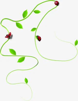 春天花藤树叶瓢虫风景免抠