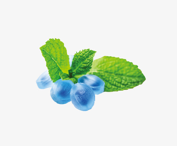 薄荷叶免抠