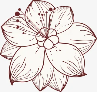 黄色线条花朵免抠