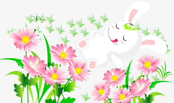 菊花免抠