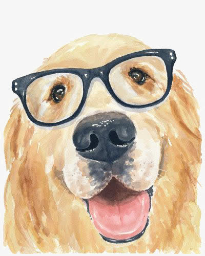 金毛犬免抠