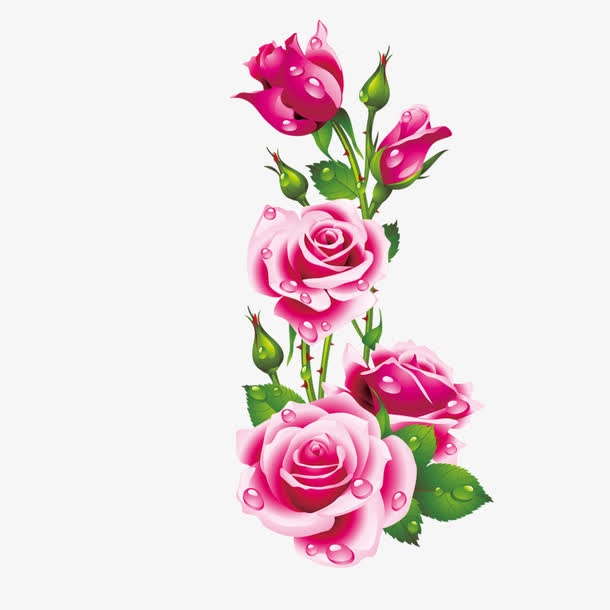 花朵免抠