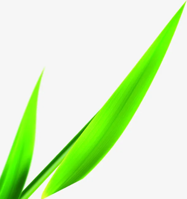绿色卡通竹叶风光免抠