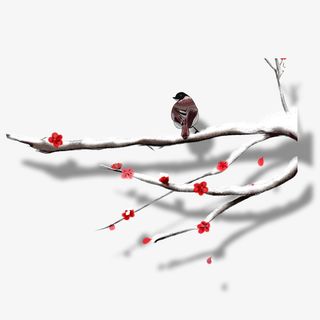 傲雪红梅枝头鸟免抠