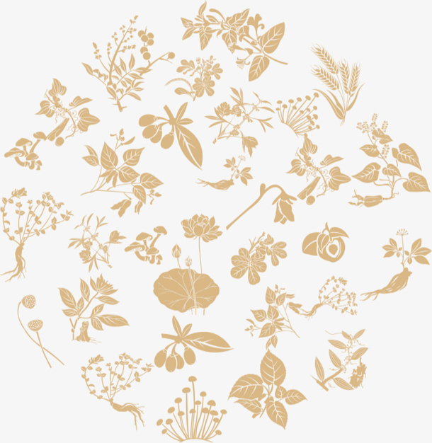 中医中药底纹免抠