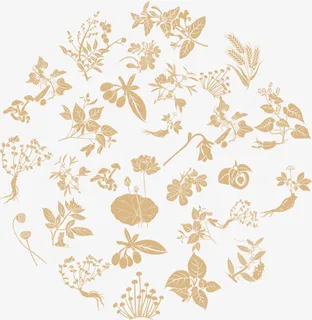 中医中药底纹免抠 中医中药底纹免抠