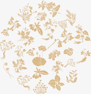 中医中药底纹免抠