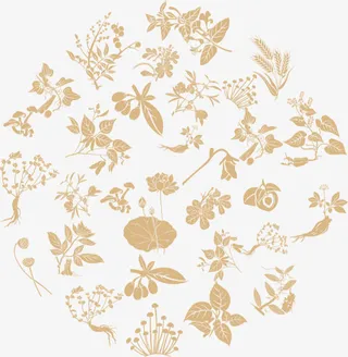 中医中药底纹免抠