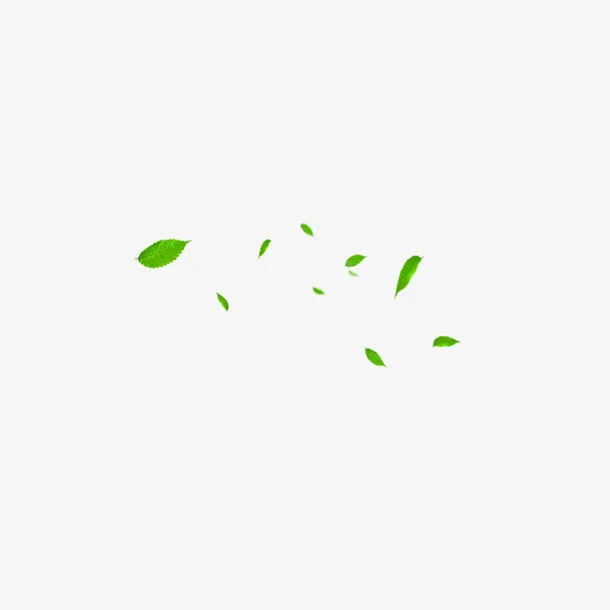 漂浮树叶免抠