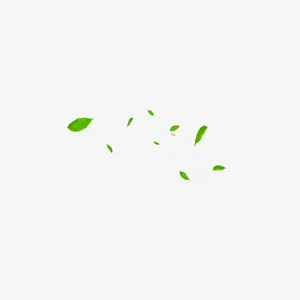 漂浮树叶免抠