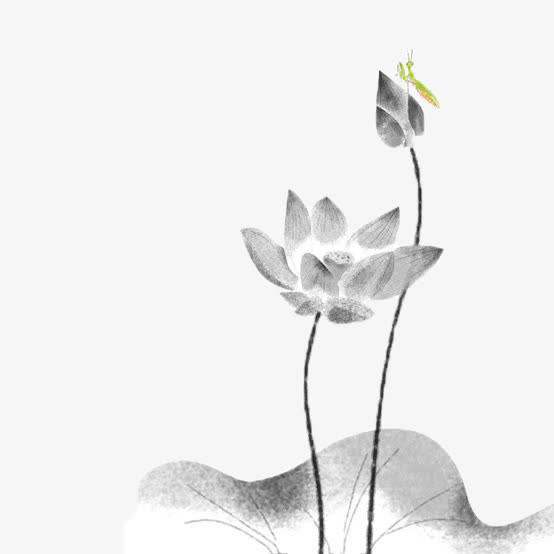 水墨画荷花免抠