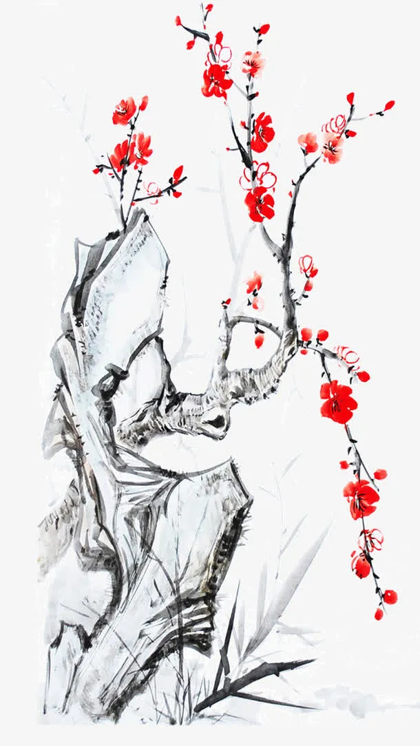 树枝免抠