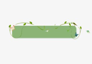 绿色的边框绿叶边框清新花框免抠