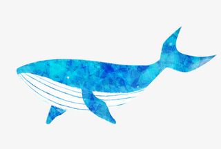 蓝色唯美手绘鲸鱼免抠