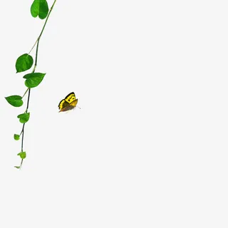 绿色插图素材免抠