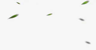 朦胧漂浮绿叶 飘飞的叶子免抠