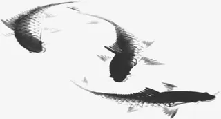 黑色水墨画鲤鱼毛笔字免抠