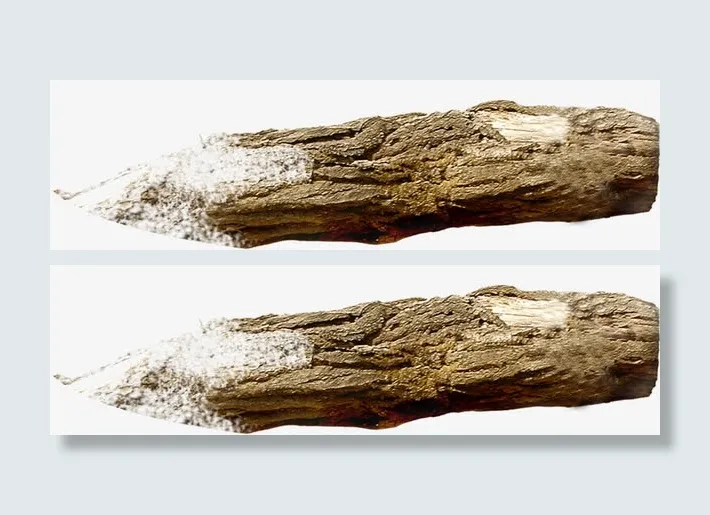 春天美景岩石高清免抠