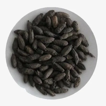 白色盘子里的丁香俯视图免抠