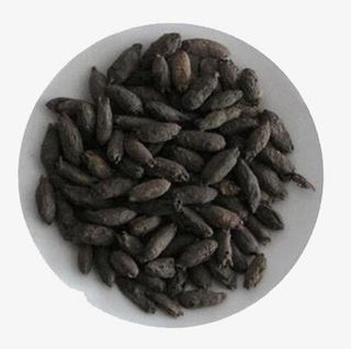 白色盘子里的丁香俯视图免抠