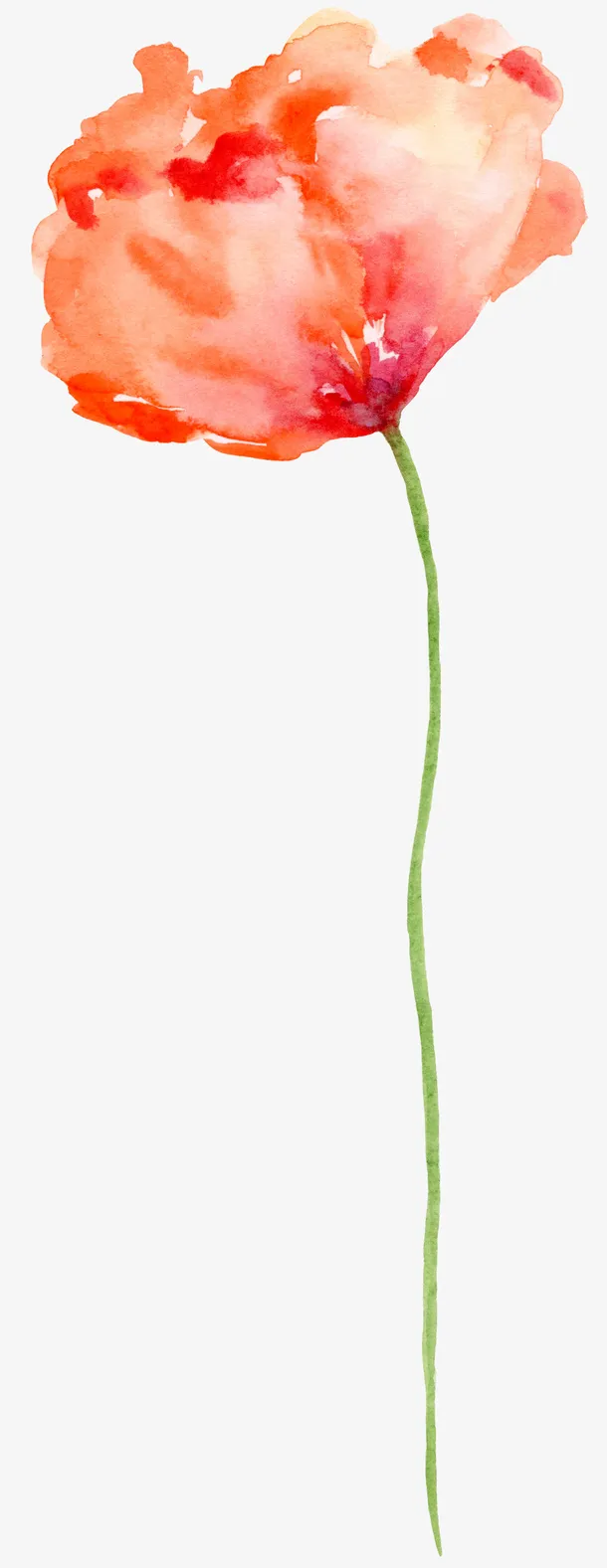 手绘花卉免抠