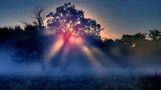 风景,素材,背景,PNG高清