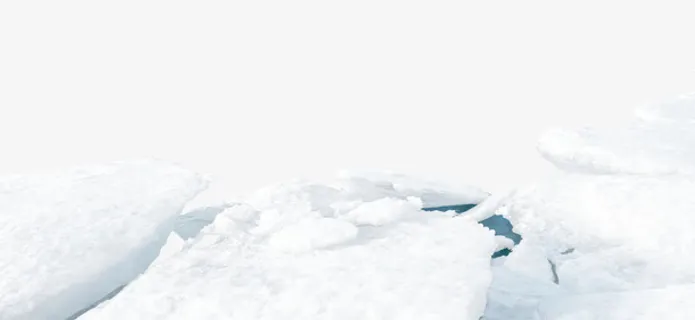 漂浮花瓣气泡简洁大方树叶树丛免抠