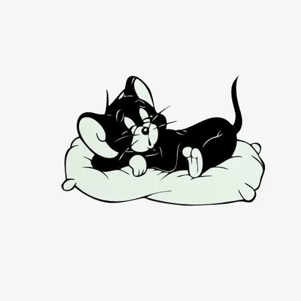 在睡觉的猫免抠
