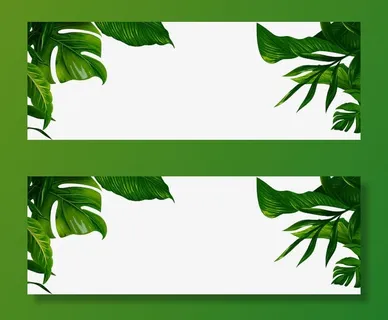 树叶免抠动植物植物元素