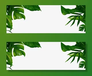 树叶免抠动植物植物元素