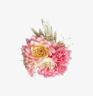 花朵装饰素材免抠