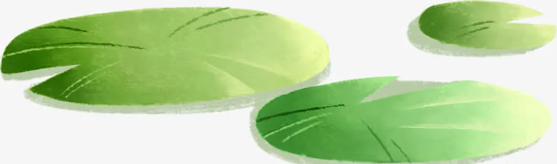 绿色荷叶免抠