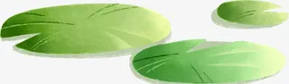 绿色荷叶免抠