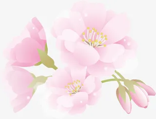 春天花朵盛开装饰免抠