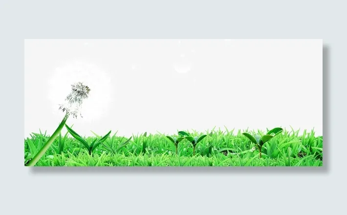 绿色简约草地边框纹理免抠