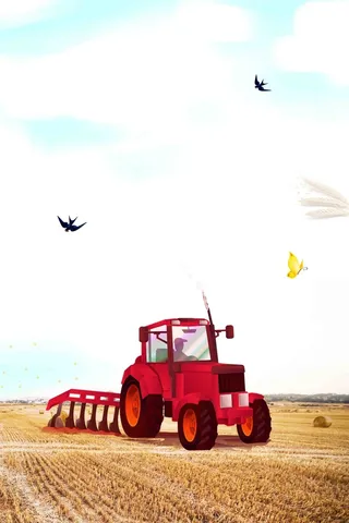 24二十四个节气芒种传统节日创意海报高清