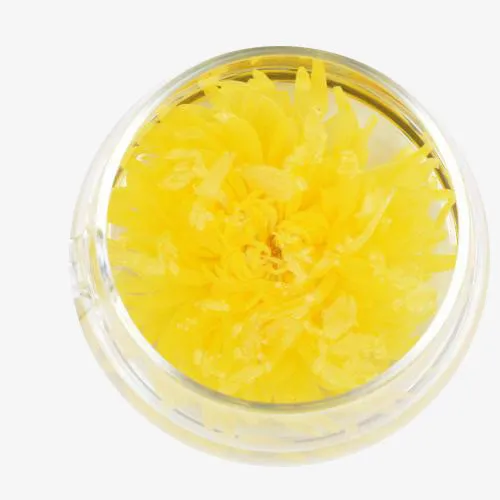 俯拍泡在杯子里的黄色金丝菊免抠