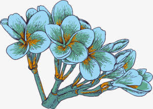 手绘清新蓝色花朵树枝免抠