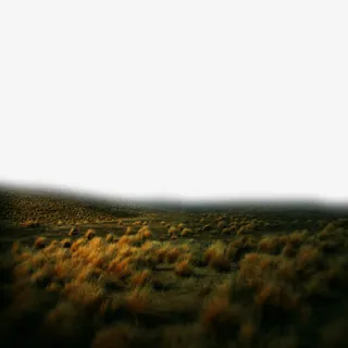 黑夜的草原免抠