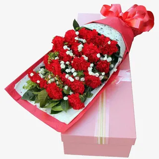 红色康乃馨免抠