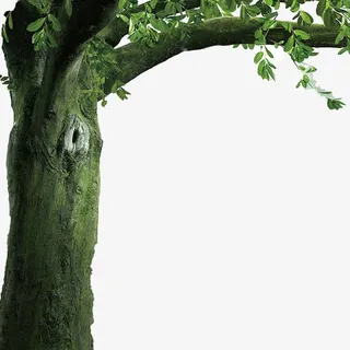 古树免抠