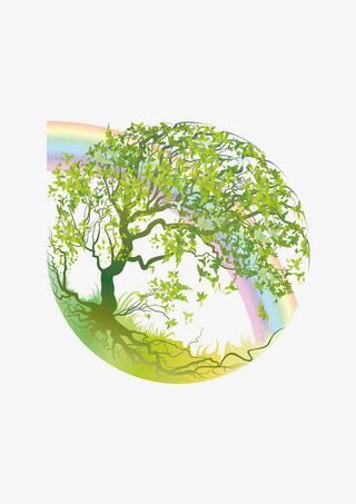 春夏秋冬季节树木免抠