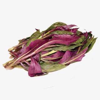 产品实物山野菜免抠